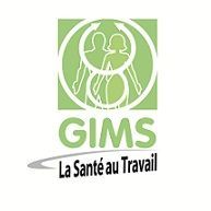 Logo GIMS 13